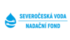 Logo for partner NFSV