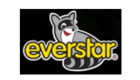Logo for partner Everstar s.r.o.
