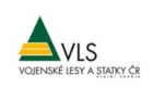 Logo for partner VLS