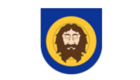Logo for partner Teplice