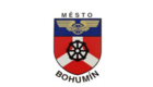 Logo for partner Město Bohumín